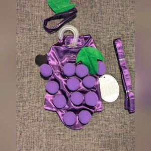Dog Costumes - Grapes Fruit Halloween Costume For Pets Size XS